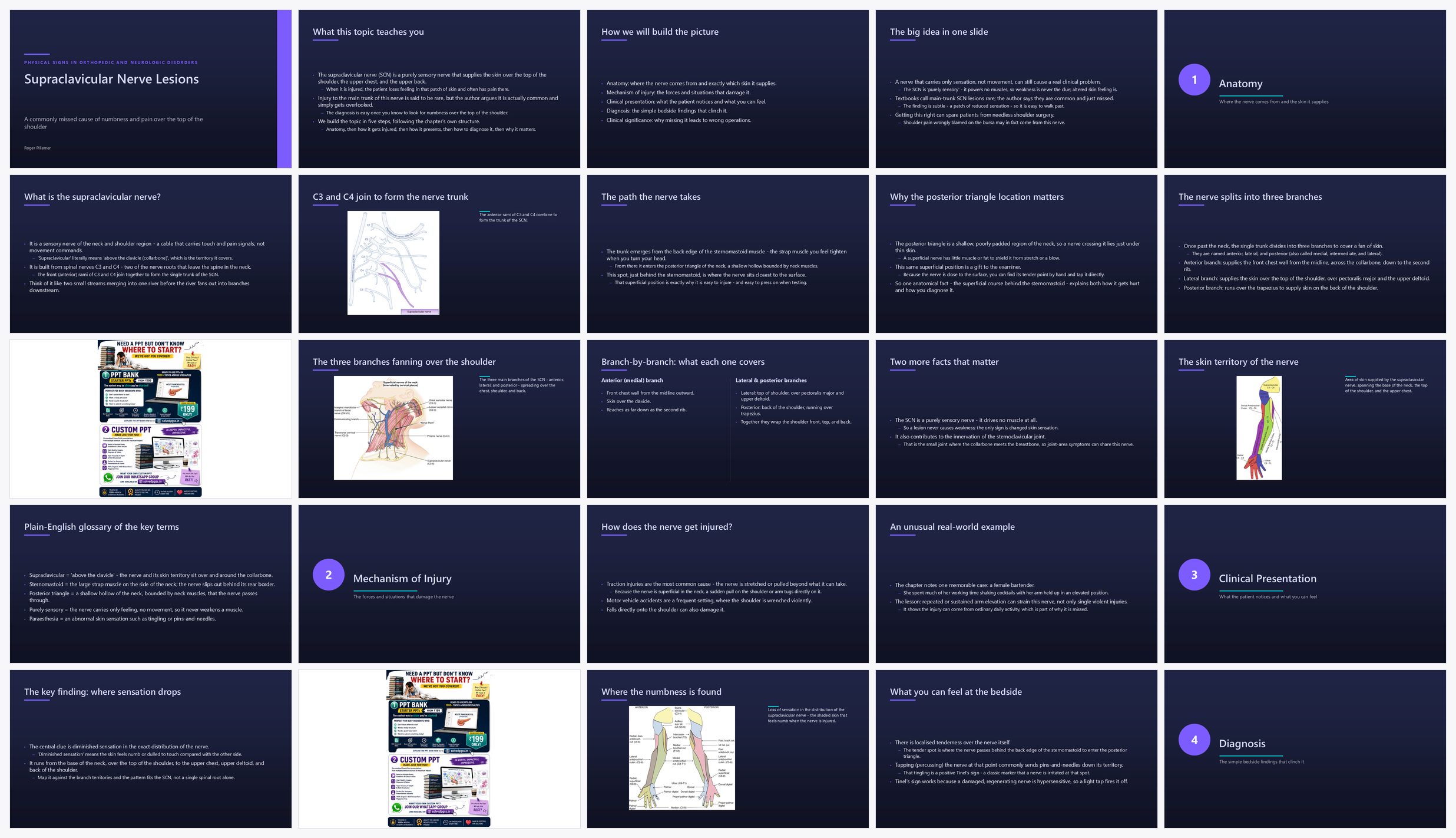 Preview of the first 25 slides of Supraclavicular Nerve Lesions