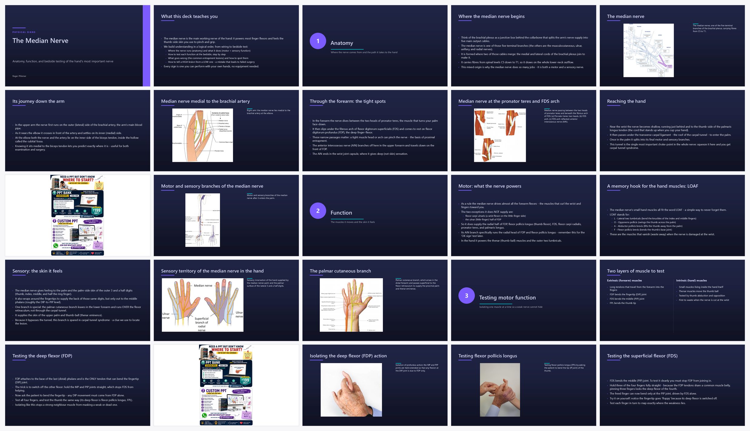 Preview of the first 25 slides of The Median Nerve