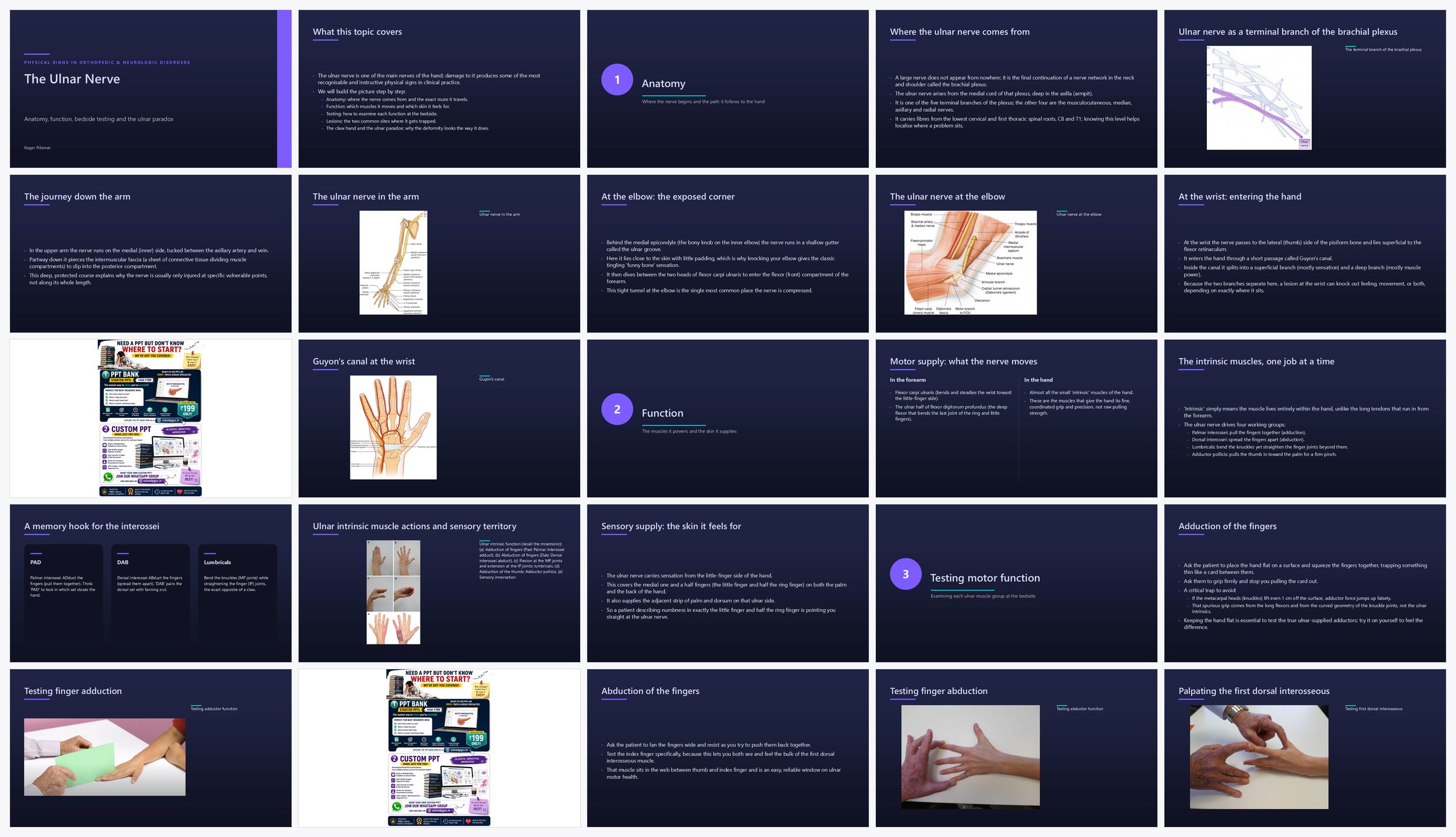 Preview of the first 25 slides of The Ulnar Nerve