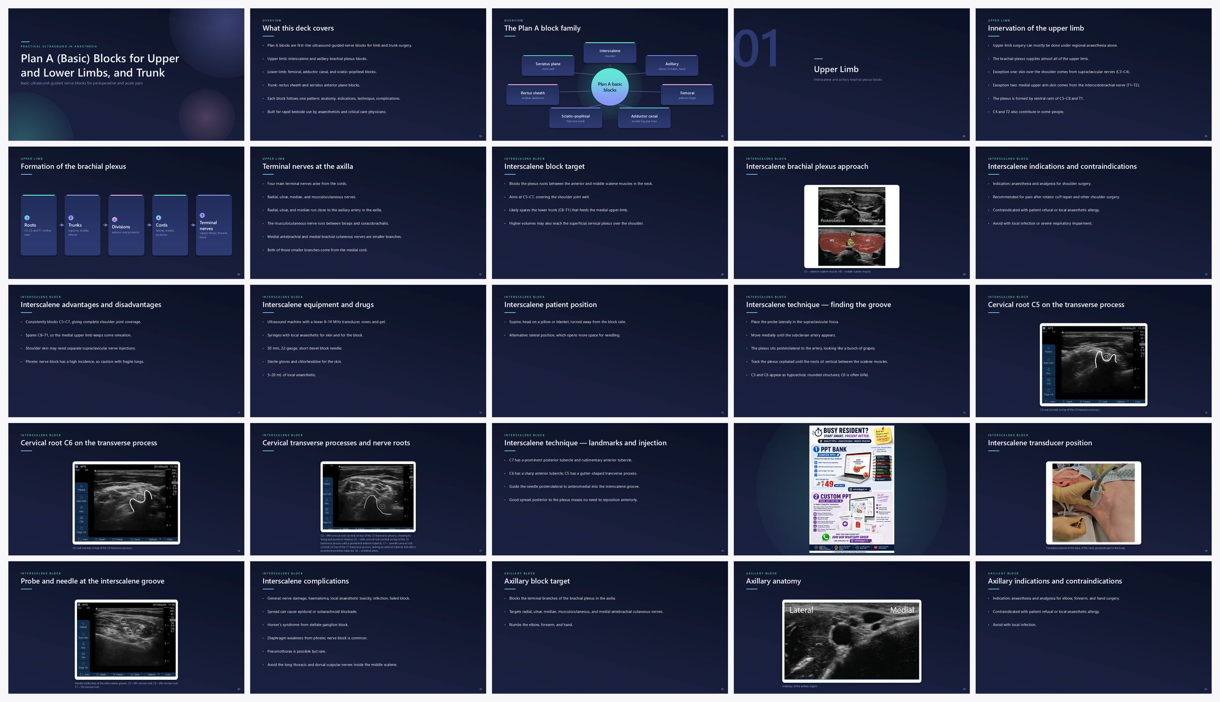 Preview of the first 25 slides of Plan A (Basic) Blocks for Upper and Lower Limbs, and Trunk